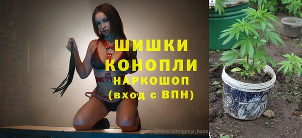 дживик Аркадак
